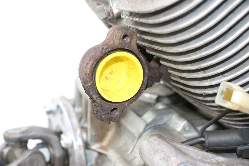 photo de MOTOR YAMAHA XV VIRAGO 535 (1988 - 2004) - Características distintivas