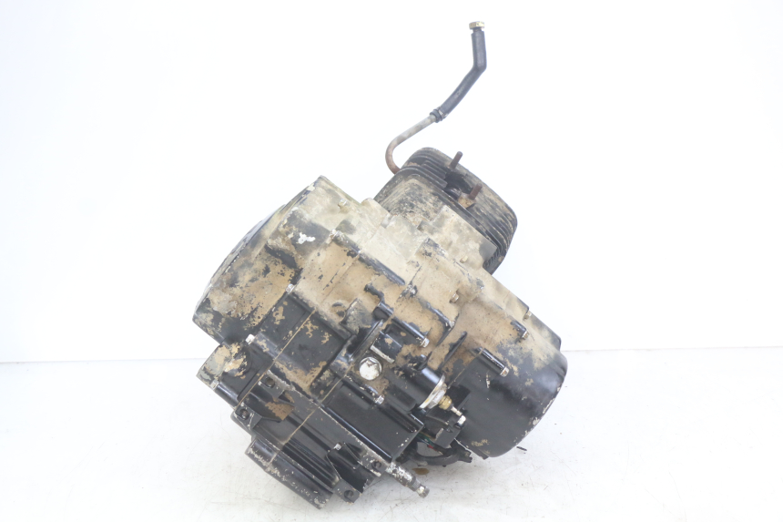 photo de MOTOR SHINERAY XY250 STXE 250 (2006 - 2012) - Primer plano de alta resolución