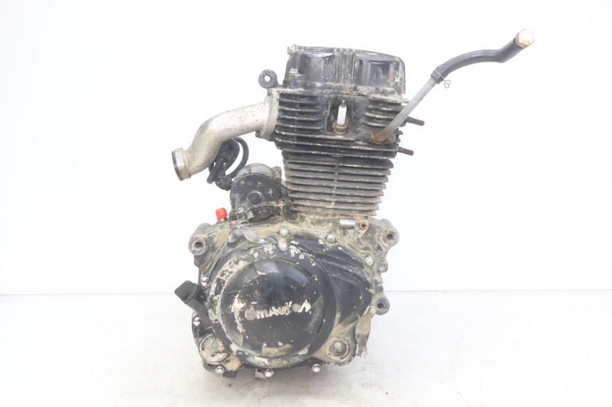 photo de MOTOR SHINERAY XY250 STXE 250 (2006 - 2012) - Recambio usado revisado