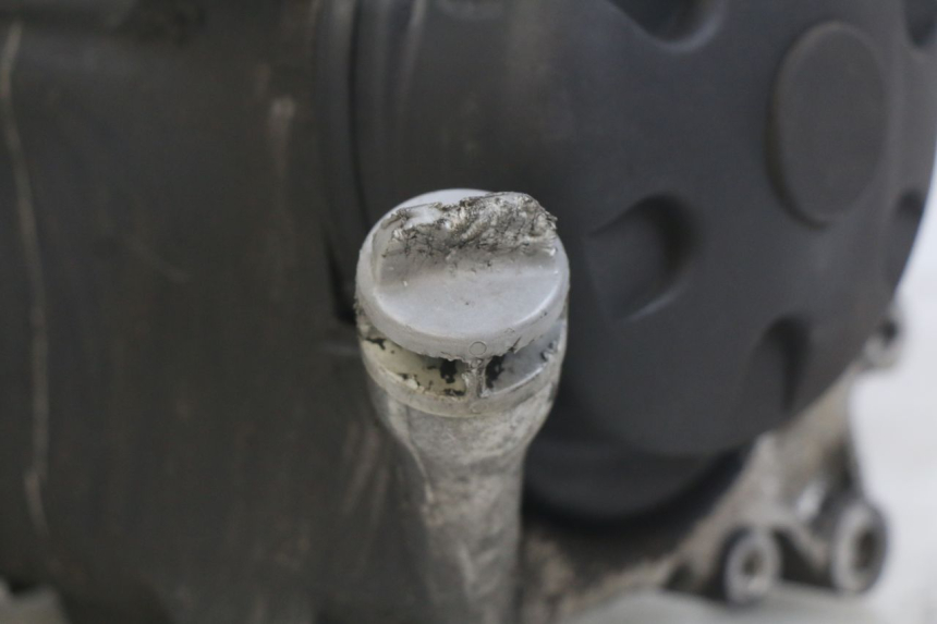 photo de MOTOR YAMAHA YP MAJESTY 125 (2007 - 2010) - Vista general del producto