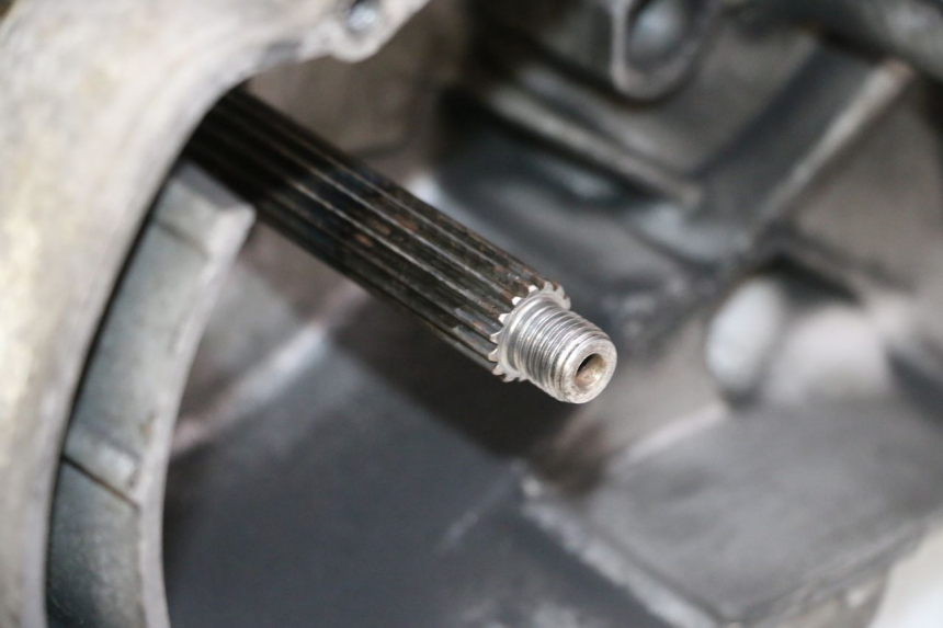 photo de MOTOR YAMAHA YP MAJESTY 125 (2002 - 2006) - Inspección visual detallada