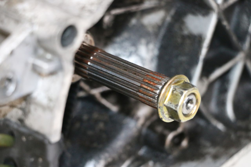 photo de MOTOR PIAGGIO ZIP 2T 50 (2009 - 2019) - Inspección visual detallada