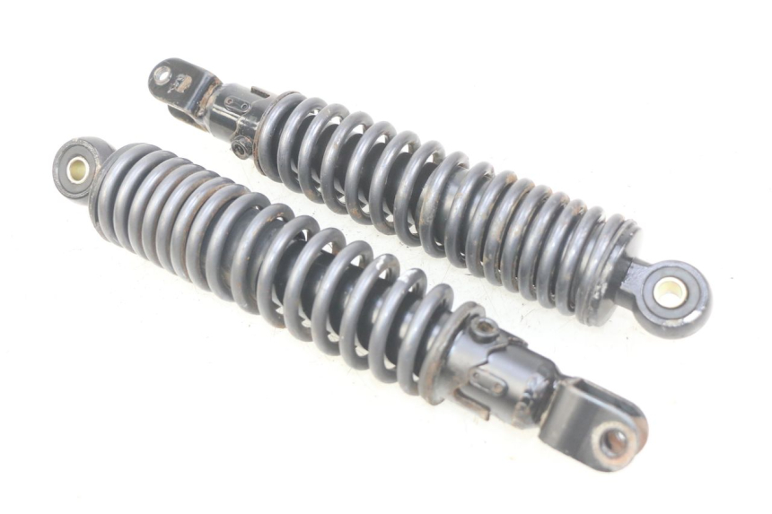 photo de PAR DE AMORTIGUADORES TRASEROS ECCITY ARTELEC 670 1 (2013 - 2017) - Vista principal