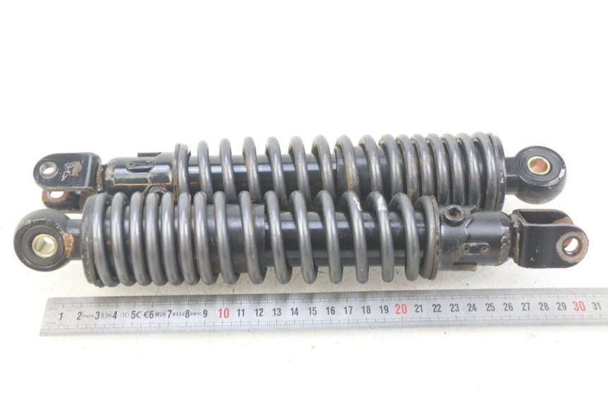 photo de PAR DE AMORTIGUADORES TRASEROS ECCITY ARTELEC 670 1 (2013 - 2017) - Zoom estado de uso