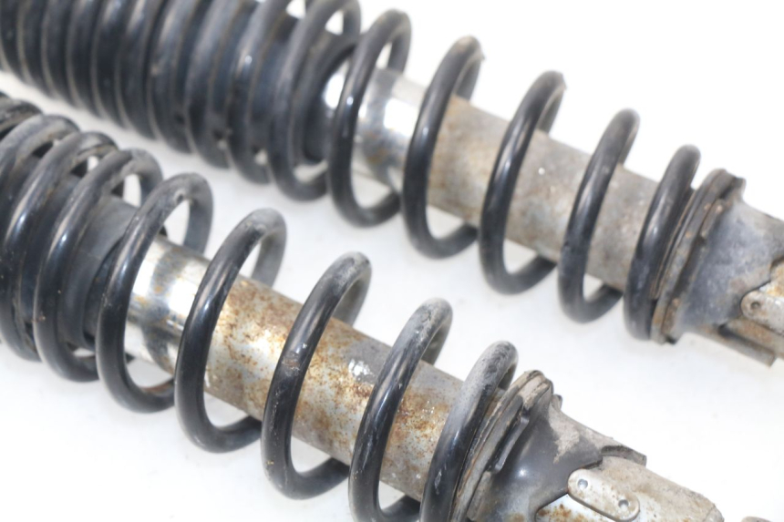 photo de PAR AMORTIGUADOR ERIDER CARGO 1 (2009 - 2018) - Vista general del producto