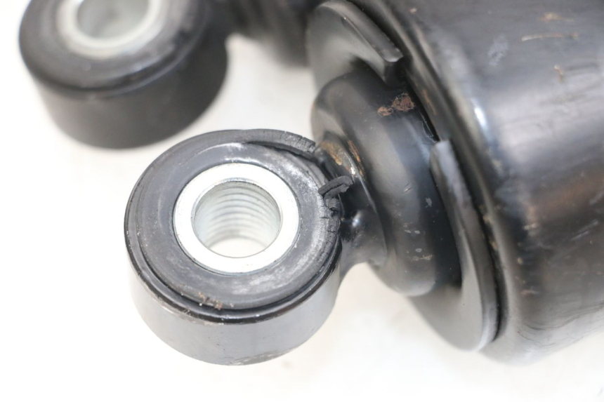 photo de PAR AMORTIGUADOR HARLEY DAVIDSON SPORTSTER XL CUSTOM 1200 (2003 - 2004) - Características distintivas