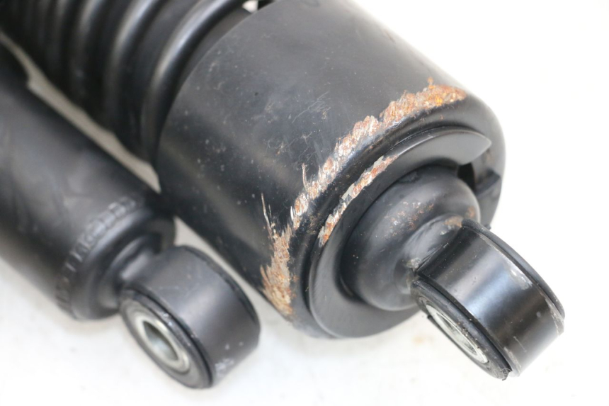 photo de PAR AMORTIGUADOR HARLEY DAVIDSON SPORTSTER XL CUSTOM 1200 (2003 - 2004) - Otra perspectiva