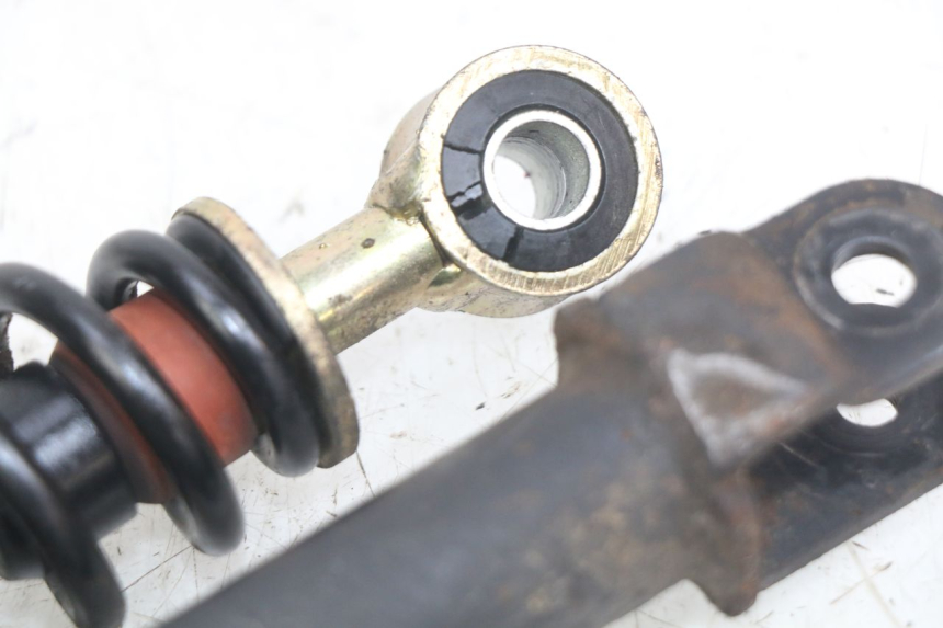 photo de PAR DE AMORTIGUADORES TRASEROS PEUGEOT SV 125 (1991 - 1994) - Zoom estado de uso