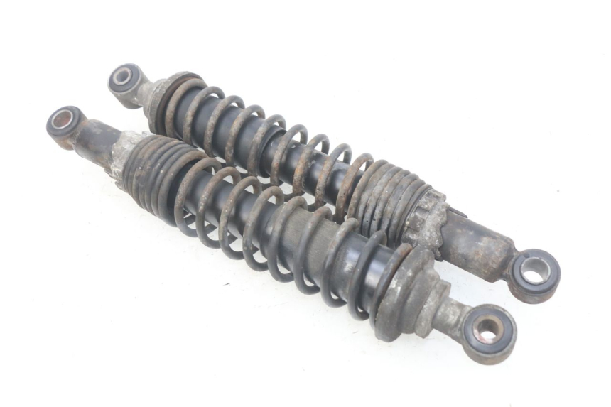 photo de PAR DE AMORTIGUADORES TRASEROS PIAGGIO X9 EVOLUTION 125 (2003 - 2007) - Vista principal