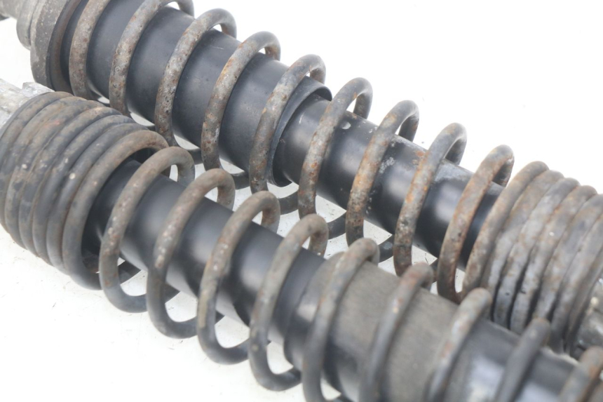 photo de PAR DE AMORTIGUADORES TRASEROS PIAGGIO X9 EVOLUTION 125 (2003 - 2007) - Vista general del producto