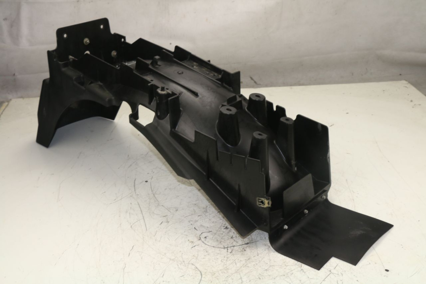 photo de PASE RUEDA TRASERO TRIUMPH TIGER 955 (2001 - 2004) - Vista principal