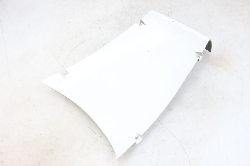 photo de PASE RUEDA DELANTERO PEUGEOT TWEET PRO EFI 4T 50 (2021 - 2022) - Vista principal