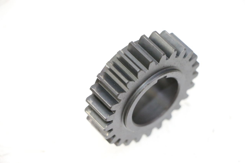 photo de PINON DAELIM HISTORY 125 (2001 - 2002) - Zoom estado de uso