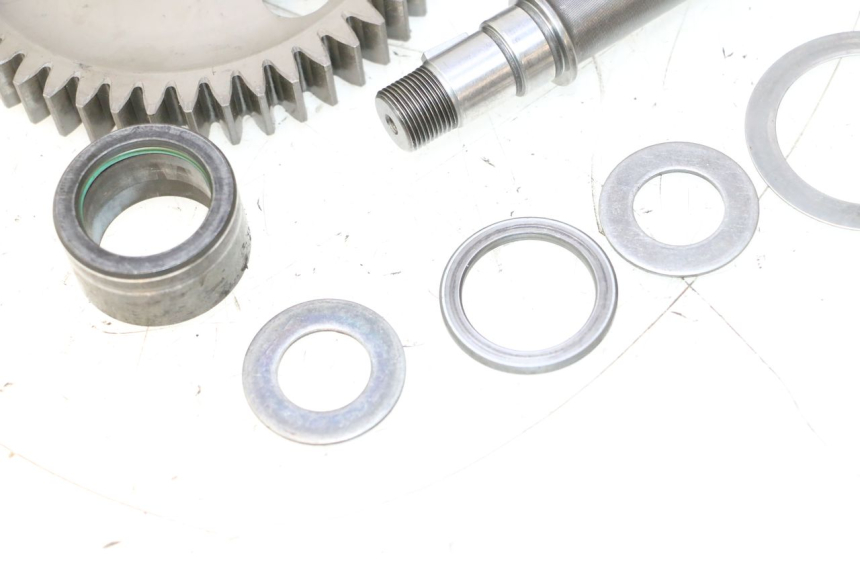 photo de PINON DUCATI SS IE DS CARENEE 1000 (2002 - 2006) - Primer plano técnico