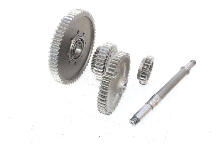 photo de PINON DUCATI SS IE DS CARENEE 1000 (2002 - 2006) - Vista general del producto