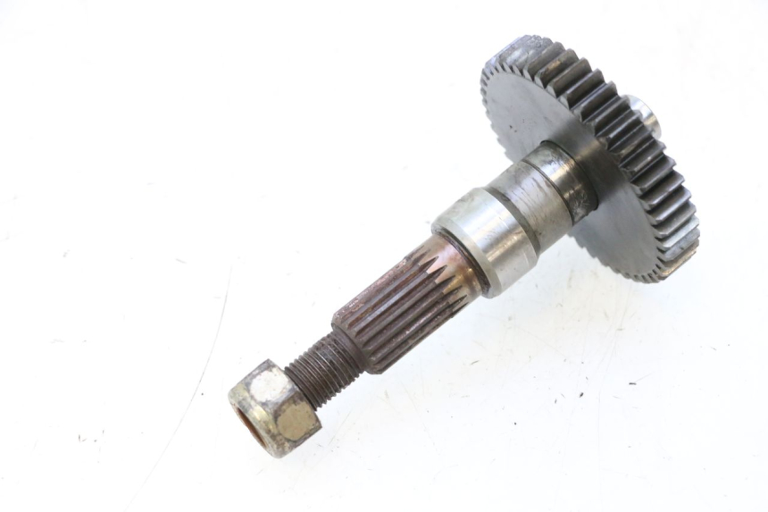 photo de ENGRANAJE TRANSMISIÓN PEUGEOT LUDIX ONE 14P 50 (2004 - 2013) - Detalle de la pieza