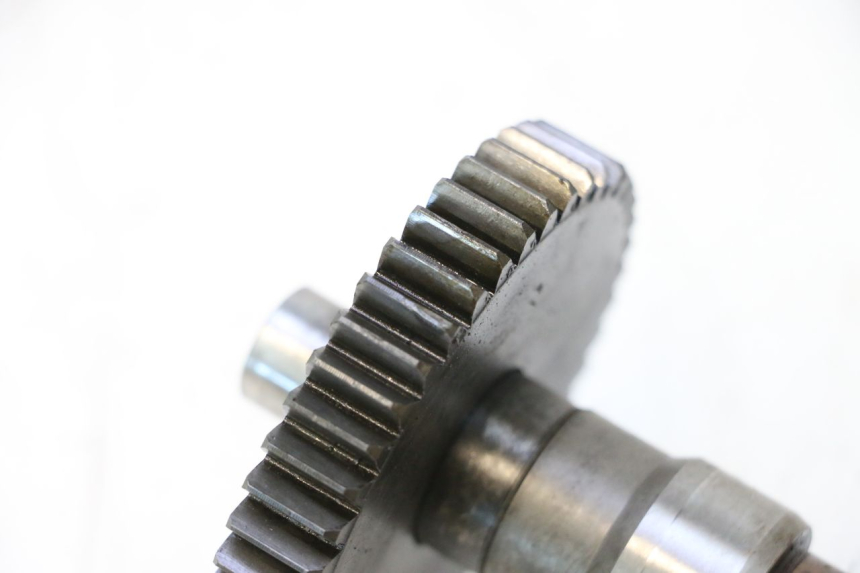 photo de ENGRANAJE TRANSMISIÓN PEUGEOT LUDIX ONE 14P 50 (2004 - 2013) - Zoom estado de uso