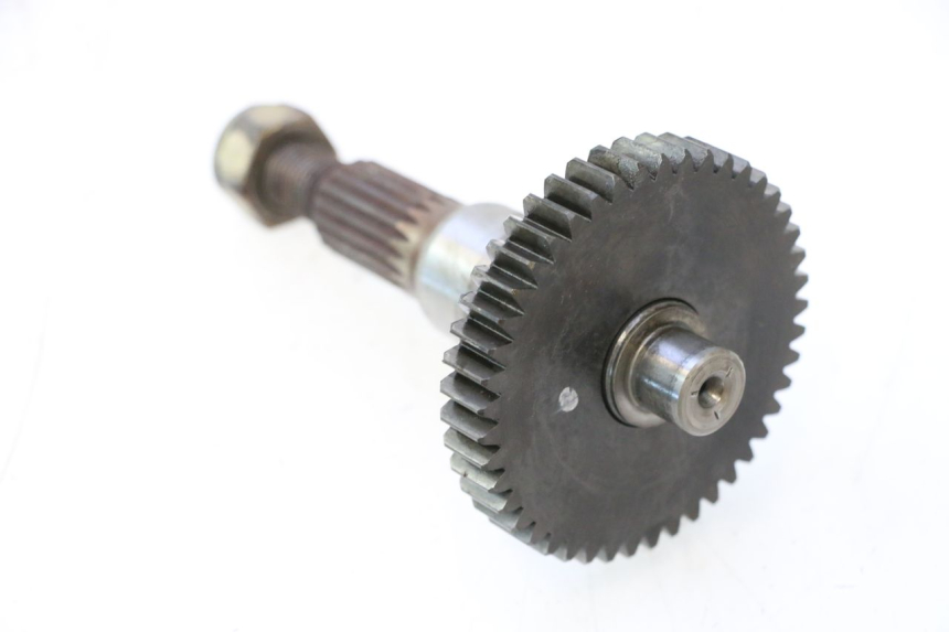 photo de ENGRANAJE TRANSMISIÓN PEUGEOT LUDIX ONE 14P 50 (2004 - 2013) - Primer plano técnico