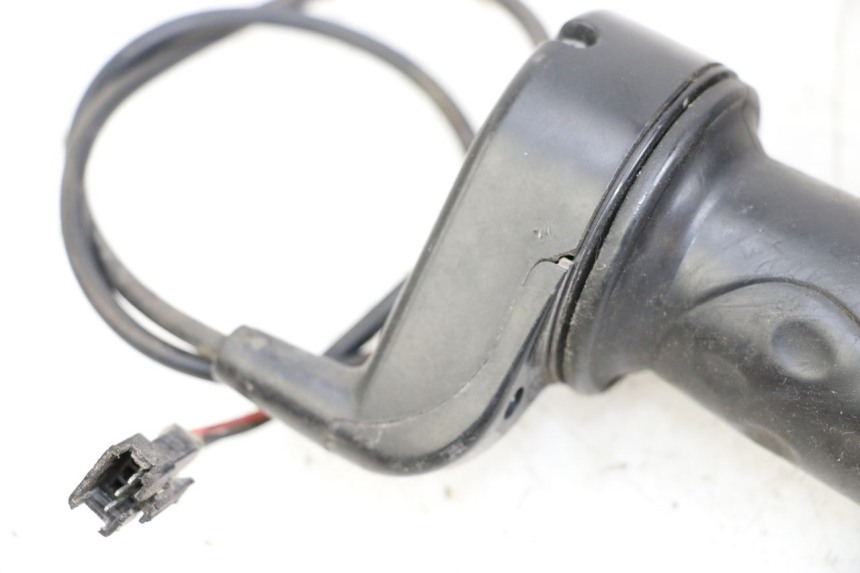 photo de ACELERADOR DOLPHIN PYGMY 1 (2020 - 2024) - Primer plano técnico