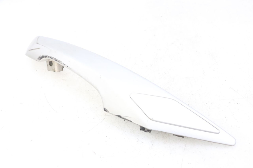 photo de ASIDERO DERECHA PEUGEOT SATELIS 125 (2013 - 2018) - Vista principal