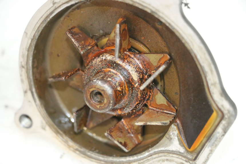 photo de BOMBA AGUA KAWASAKI GPX R WARBIRD 600 (1988 - 1993) - Marcados y referencias originales