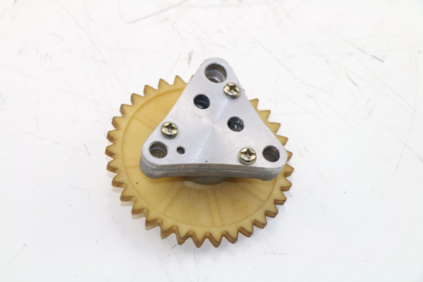 photo de BOMBA ACEITE BAOTIAN BT 49 QT-9 50 (2006 - 2010) - Zoom estado de uso