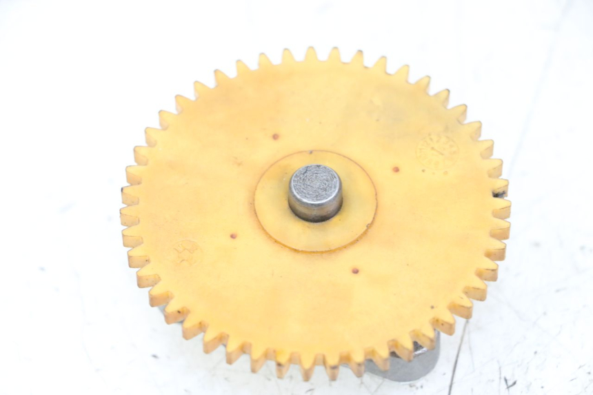 photo de BOMBA ACEITE LONGJIA DIGITA 4T 50 (2019 - 2022) - Vista principal