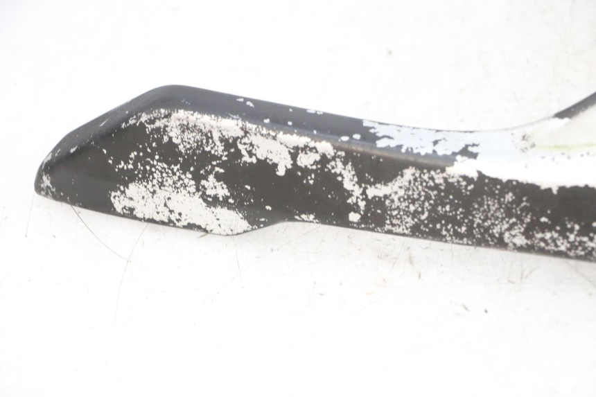 photo de PORTAEQUIPAJES DAELIM S1 125 (2007 - 2016) - Primer plano técnico