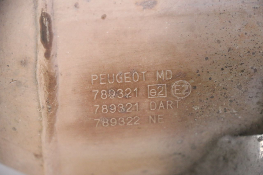 photo de ESCAPE PEUGEOT SATELIS 125 (2013 - 2018) - Vista general del producto