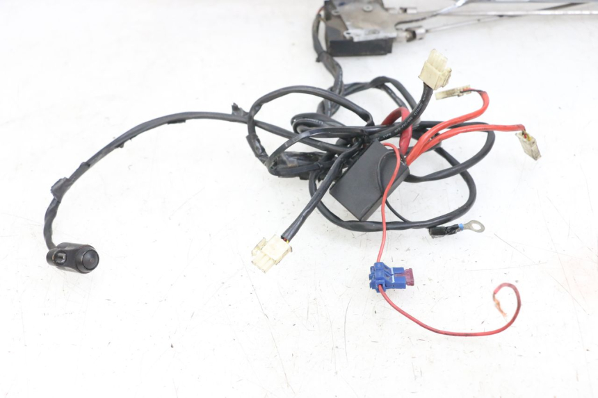 photo de ESCAPE HARLEY DAVIDSON SPORTSTER XL CUSTOM 1200 (2003 - 2004) - Detalles de los puntos de fijación