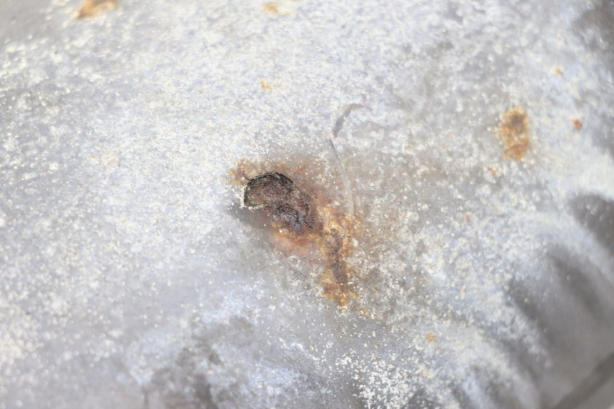 photo de ESCAPE YAMAHA YP MAJESTY 125 (2007 - 2010) - Otra perspectiva