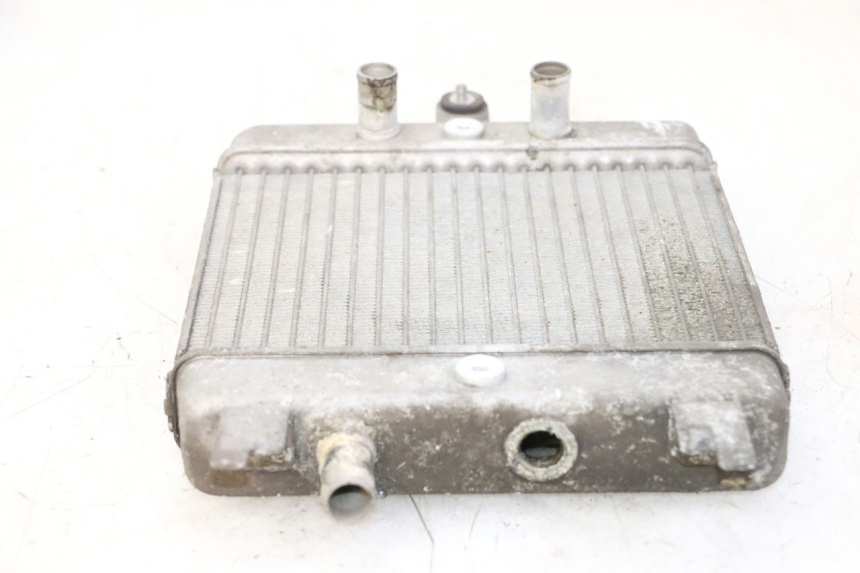 photo de RADIADOR SUZUKI BURGMAN 125 (2007 - 2014) - Estado de la superficie y material