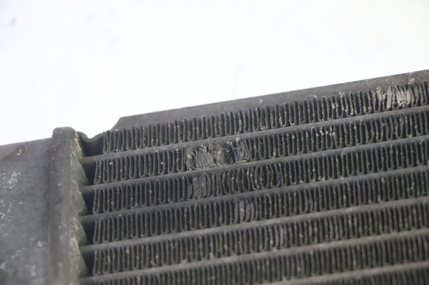 photo de RADIADOR SUZUKI BURGMAN 125 (2007 - 2014) - Estado de la superficie y material