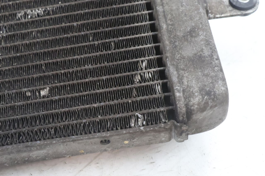 photo de RADIADOR SUZUKI BURGMAN 125 (2007 - 2014) - Características distintivas
