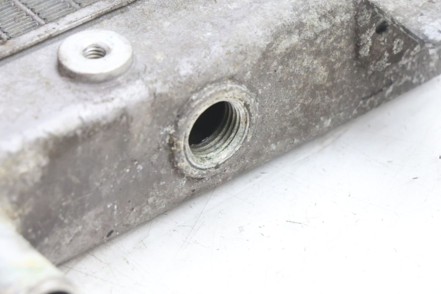 photo de RADIADOR SUZUKI BURGMAN 125 (2007 - 2014) - Estado de la superficie y material