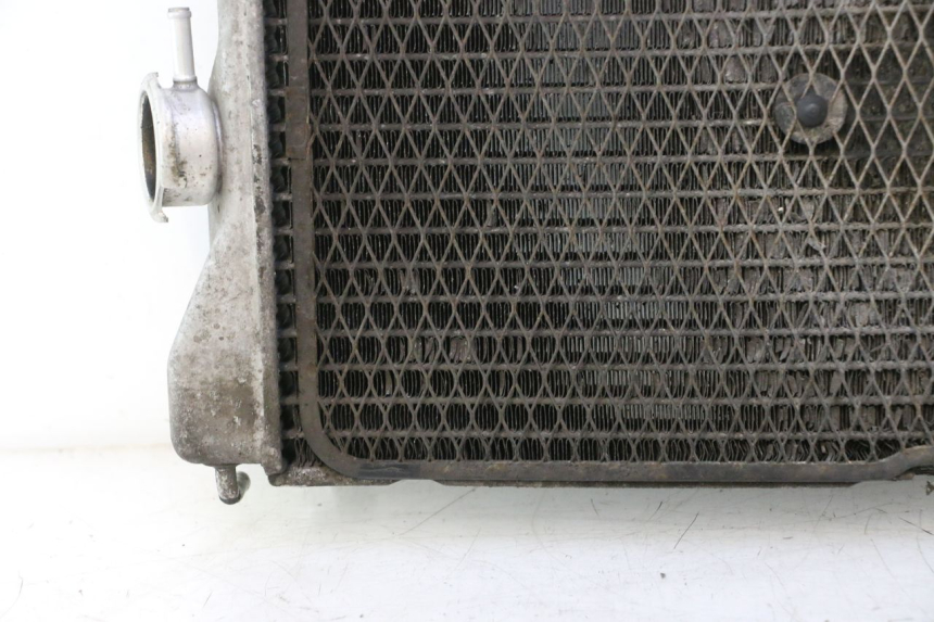 photo de RADIADOR  SUZUKI BURGMAN EXECUTIVE ABS 650 (2006 - 2012) - Ángulo de visión alternativo