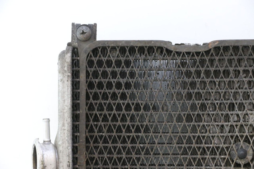 photo de RADIADOR  SUZUKI BURGMAN EXECUTIVE ABS 650 (2006 - 2012) - Zoom calidad de ocasión