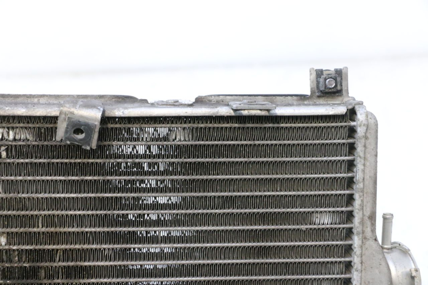 photo de RADIADOR  SUZUKI BURGMAN EXECUTIVE ABS 650 (2006 - 2012) - Zoom estado de uso