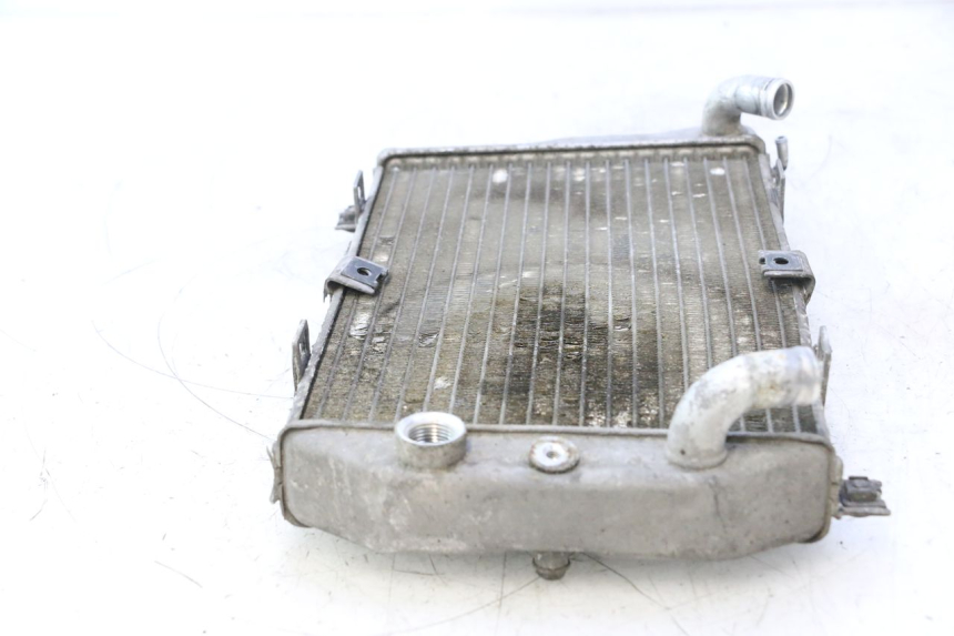 photo de RADIADOR  SUZUKI BURGMAN EXECUTIVE ABS 650 (2006 - 2012) - Estado de la superficie y material