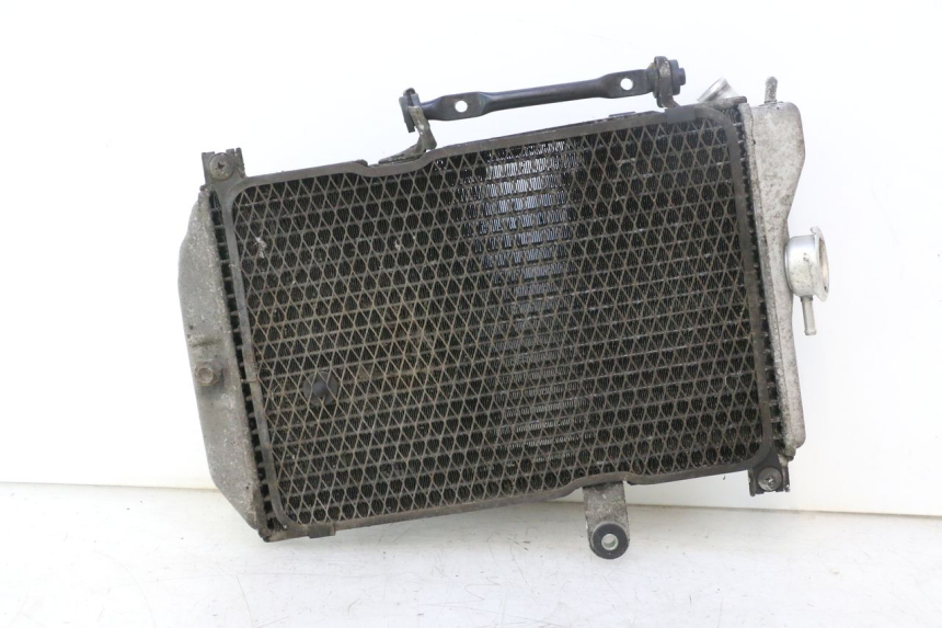 photo de RADIADOR  SUZUKI BURGMAN EXECUTIVE ABS 650 (2006 - 2012) - Vista principal