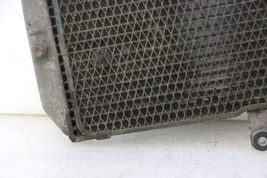 photo de RADIADOR  SUZUKI BURGMAN EXECUTIVE ABS 650 (2006 - 2012) - Zoom estado de uso