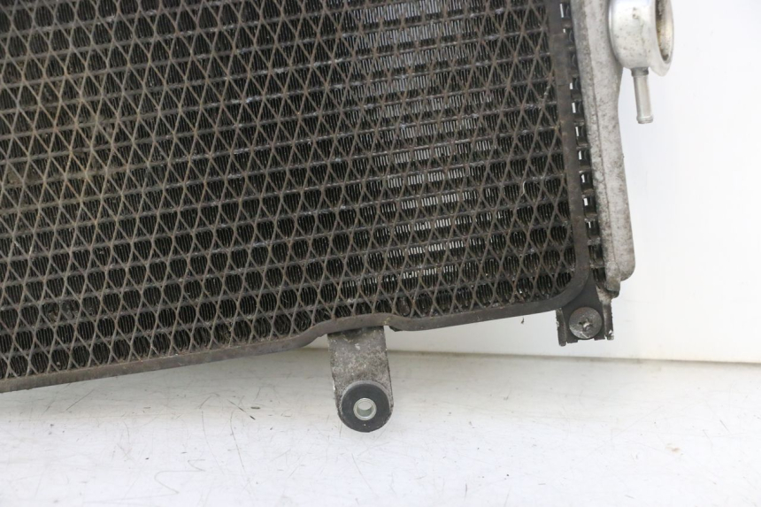 photo de RADIADOR  SUZUKI BURGMAN EXECUTIVE ABS 650 (2006 - 2012) - Otra perspectiva