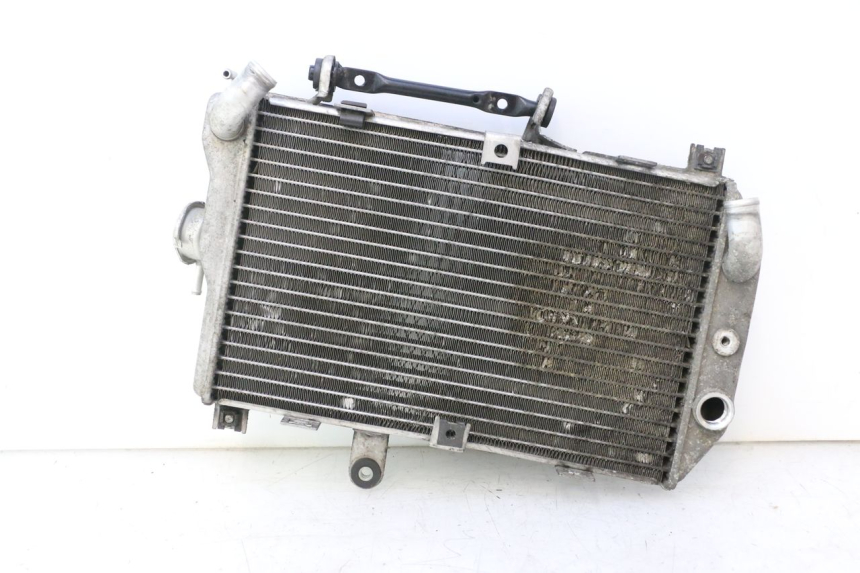photo de RADIADOR  SUZUKI BURGMAN EXECUTIVE ABS 650 (2006 - 2012) - Vista general del producto