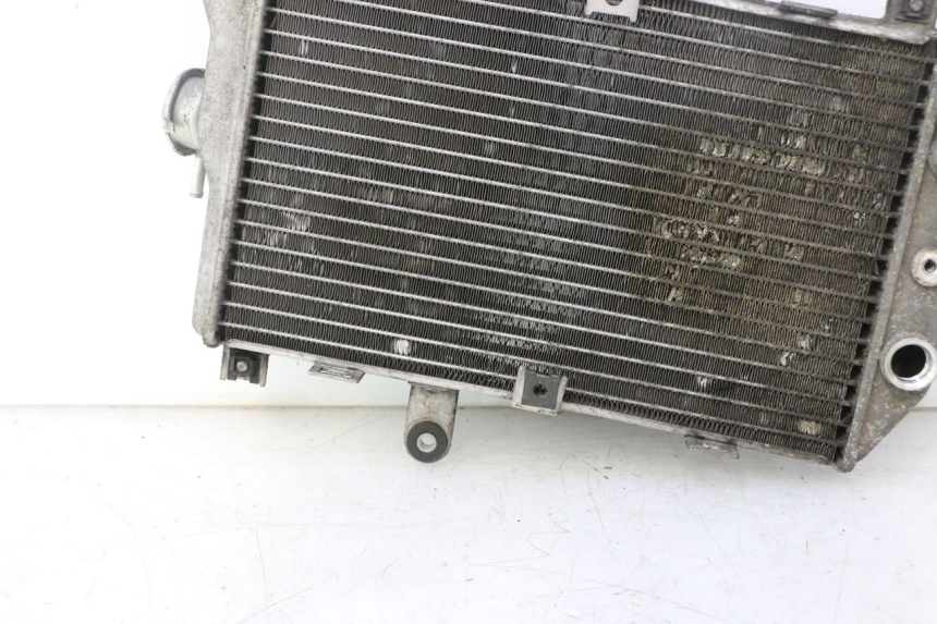 photo de RADIADOR  SUZUKI BURGMAN EXECUTIVE ABS 650 (2006 - 2012) - Recambio usado revisado