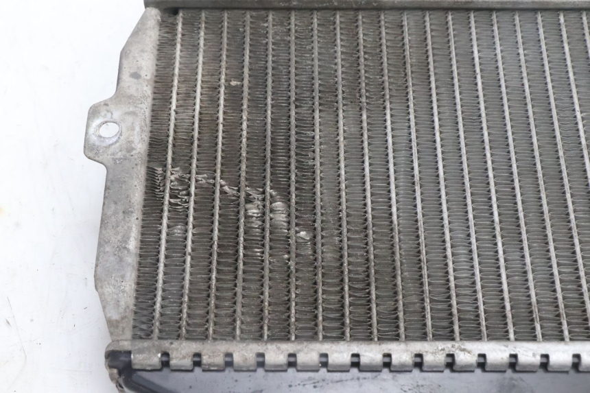 photo de RADIADOR PEUGEOT CITYSTAR 125 (2011 - 2017) - Zoom estado de uso