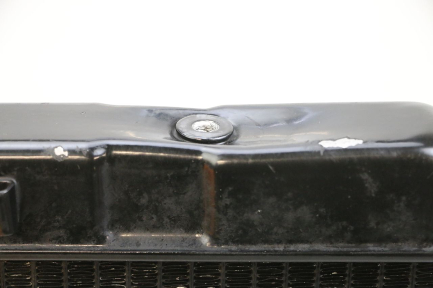 photo de RADIADOR  SUZUKI DL V STROM 1000 (2002 - 2007) - Otra perspectiva