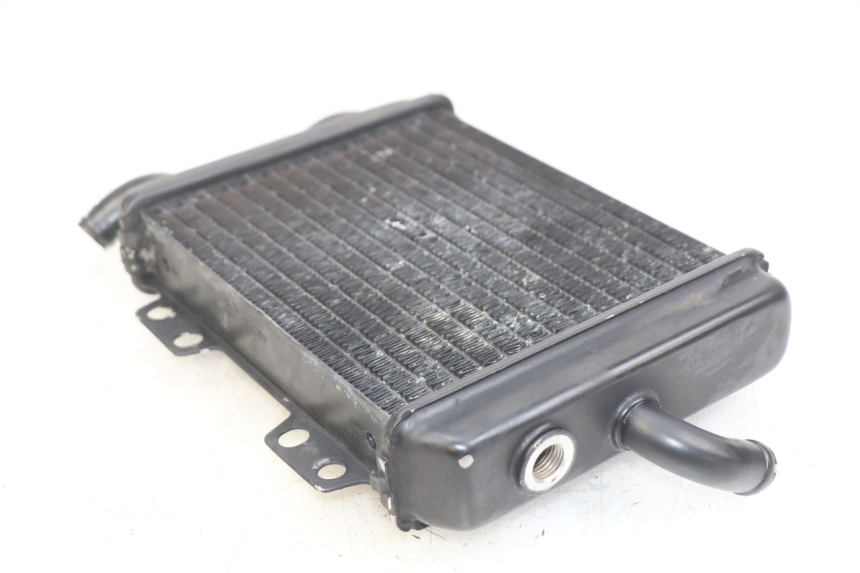 photo de RADIADOR PEUGEOT ELYSEO 125 (1999 - 2004) - Zoom estado de uso