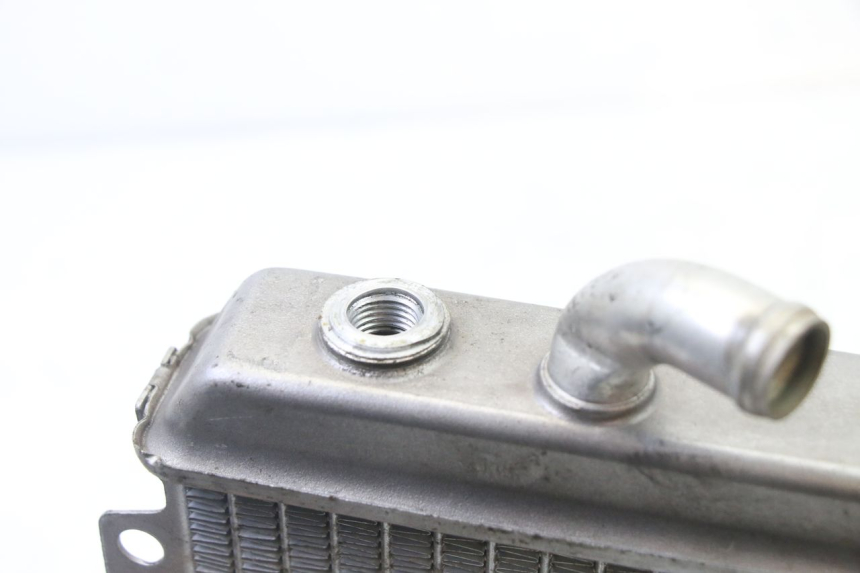 photo de RADIADOR PEUGEOT ELYSEO 125 (1999 - 2004) - Zoom estado de uso