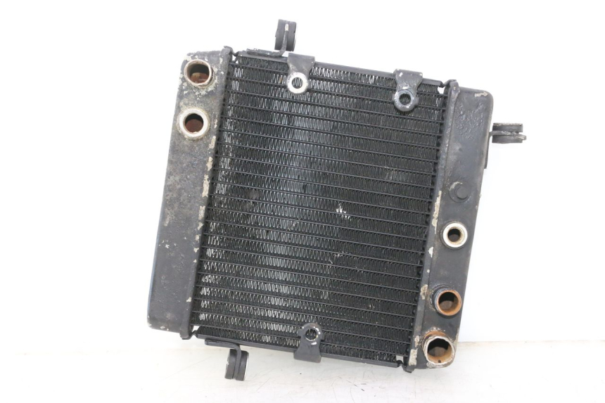 photo de RADIADOR HONDA FES PANTHEON 2T 125 (1998 - 2002) - Vista principal