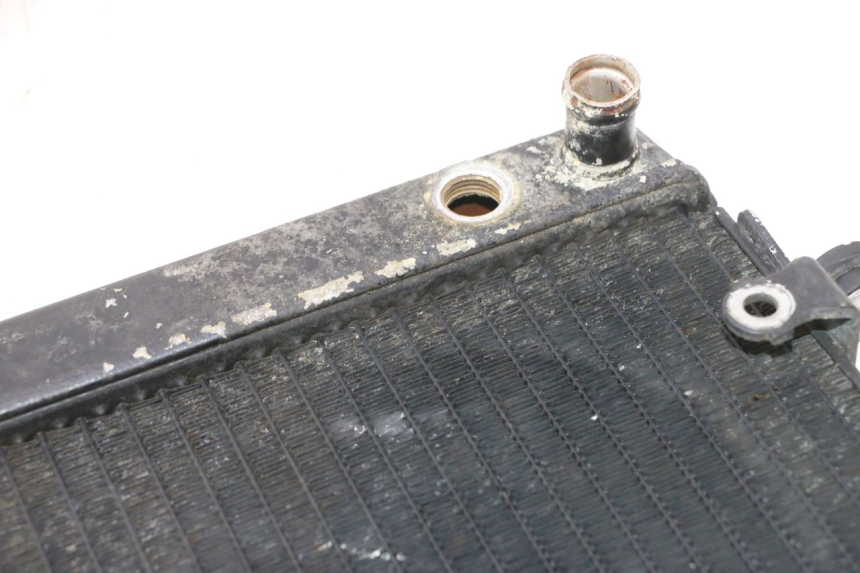 photo de RADIADOR HONDA FES PANTHEON 2T 125 (1998 - 2002) - Detalle de la pieza